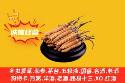 殷都区回收冬虫夏草